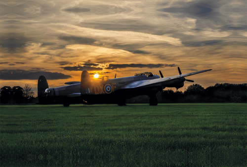 Aluminium Print: Just jane Sunset