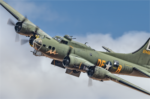 80x50 Sally B 