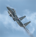 50x50cm F15 - Strike Eagle