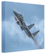50x50cm F15 - Strike Eagle