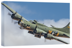 80x50 Sally B 
